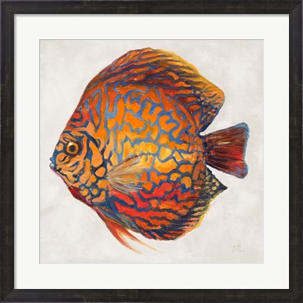 Framed Little Fish II Print
