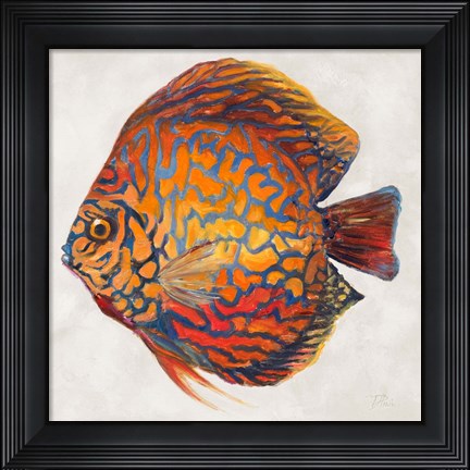 Framed Little Fish II Print
