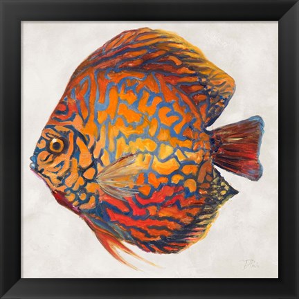 Framed Little Fish II Print