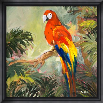 Framed Parrots at Bay I Print