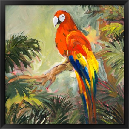 Framed Parrots at Bay I Print