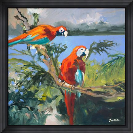Framed Parrots at Bay II Print
