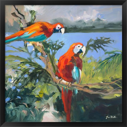 Framed Parrots at Bay II Print