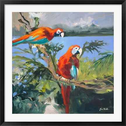 Framed Parrots at Bay II Print