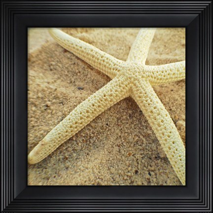 Framed Starfish Print