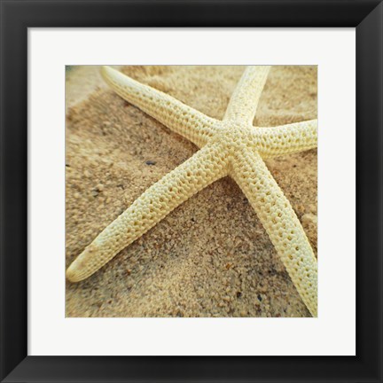 Framed Starfish Print