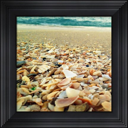 Framed Shells Beach II Print