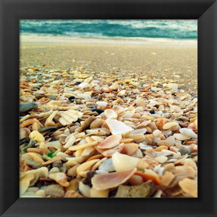 Framed Shells Beach II Print