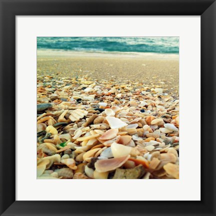 Framed Shells Beach II Print