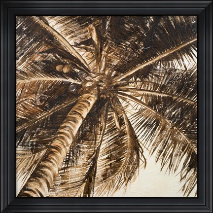 Framed Coconut Palm II Print