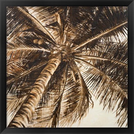 Framed Coconut Palm II Print