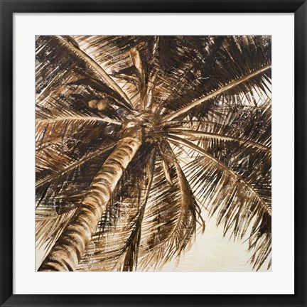 Framed Coconut Palm II Print