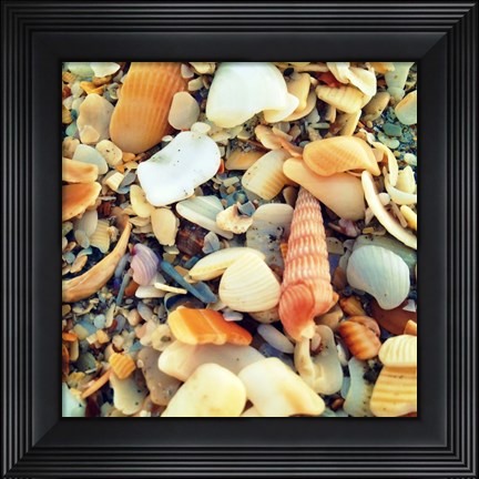 Framed Sea Glass II Print