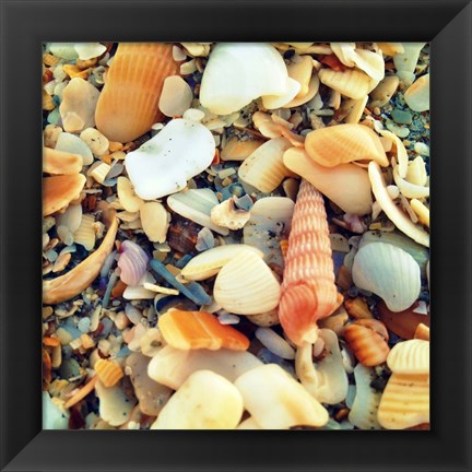 Framed Sea Glass II Print