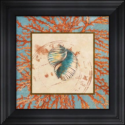 Framed Coral Medley Shell I Print