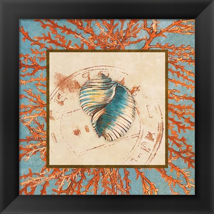 Framed Coral Medley Shell I Print