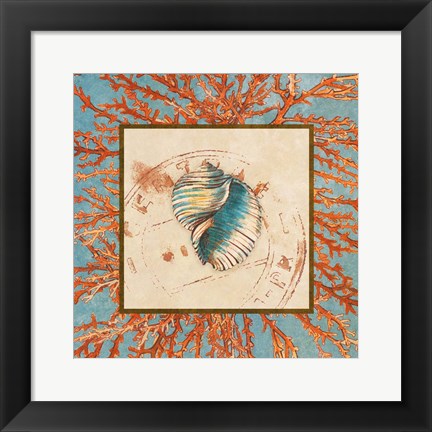 Framed Coral Medley Shell I Print