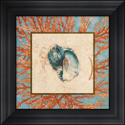 Framed Coral Medley Shell II Print
