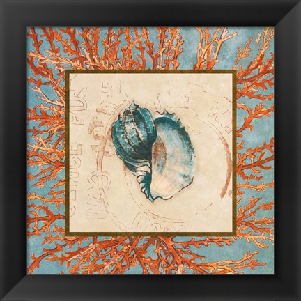 Framed Coral Medley Shell II Print