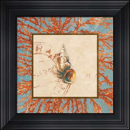 Framed Coral Medley Shell III Print