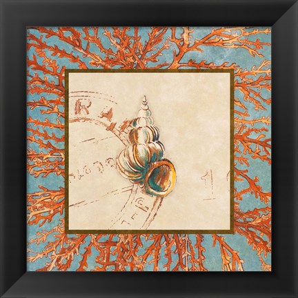 Framed Coral Medley Shell III Print