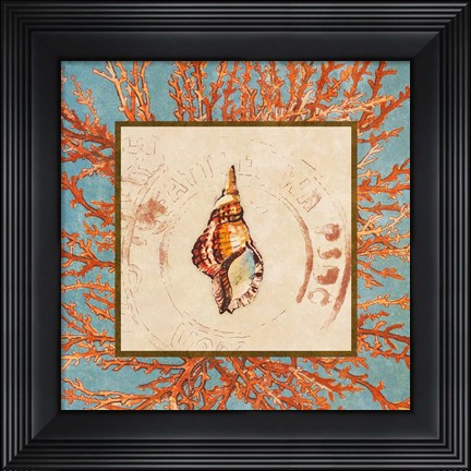 Framed Coral Medley Shell IV Print