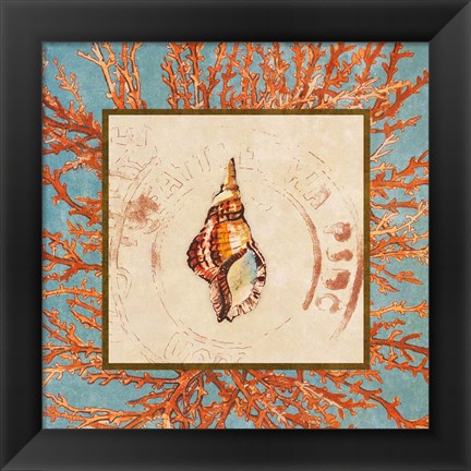 Framed Coral Medley Shell IV Print