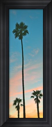 Framed Sunset Palms Print