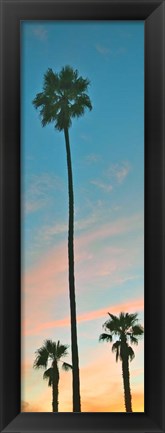 Framed Sunset Palms Print