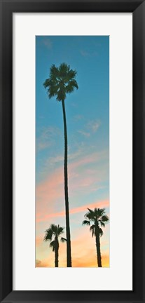 Framed Sunset Palms Print