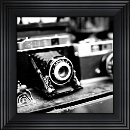 Framed Rare Finds I Print