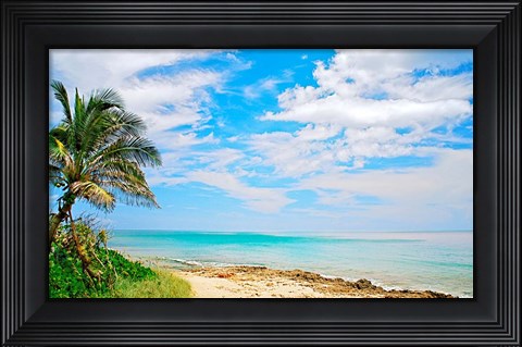 Framed Paradise Print