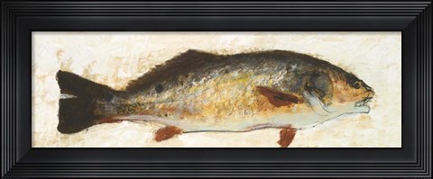 Framed Catch of the Day I Print