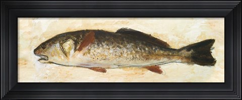 Framed Catch of the Day II Print