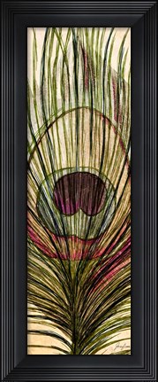 Framed Peacock Feather I Print