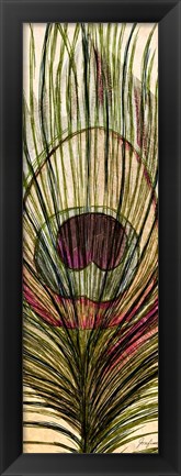 Framed Peacock Feather I Print