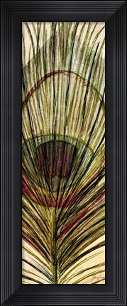 Framed Peacock Feather II Print
