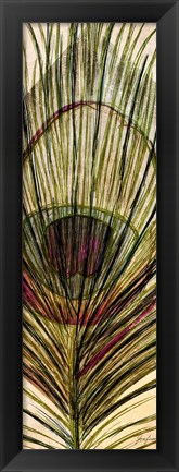 Framed Peacock Feather II Print