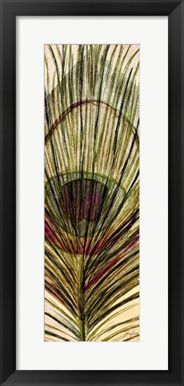 Framed Peacock Feather II Print