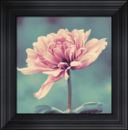 Framed Gorgeous Pink Print