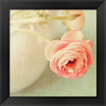 Framed Vintage Peony I Print