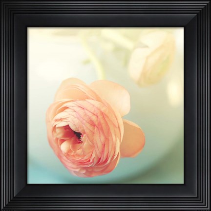 Framed Vintage Peony II Print
