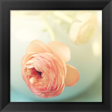 Framed Vintage Peony II Print