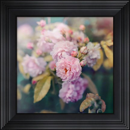 Framed Season of Blossoms Print
