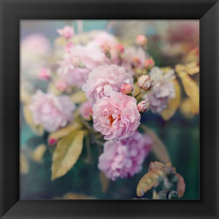 Framed Season of Blossoms Print