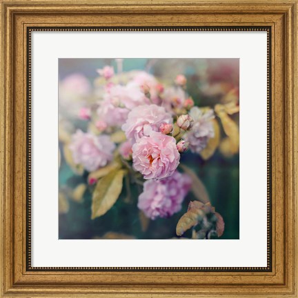 Framed Season of Blossoms Print