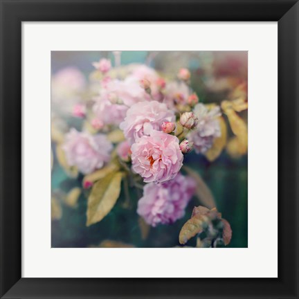 Framed Season of Blossoms Print