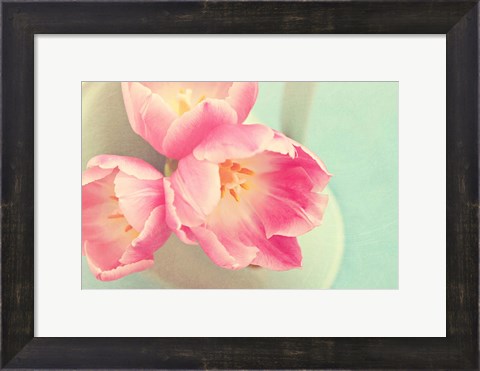 Framed Resplendent Blossoms II Print