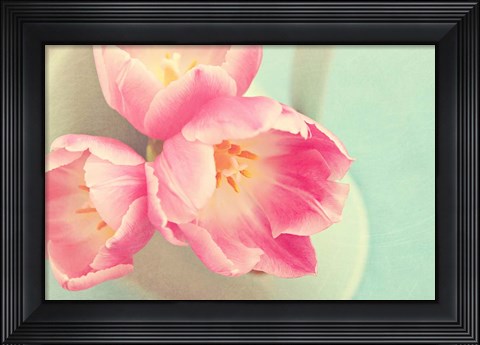 Framed Resplendent Blossoms II Print