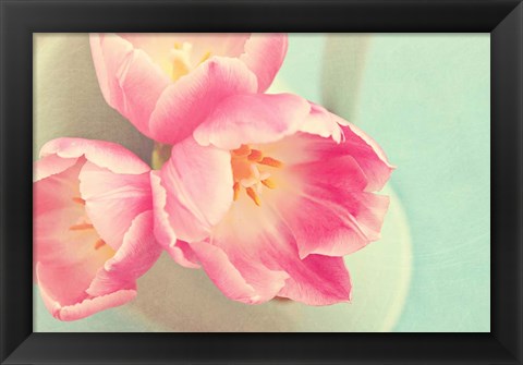 Framed Resplendent Blossoms II Print